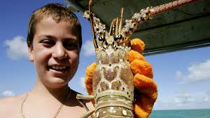In fact, destin's liquid neighborhood—from choctawhatchee bay and destin harbor to the open waters of the gulf of mexico—provides an excellent and varied habitat for a diverse roster of sharks. Spiny Lobster Prices In Florida Drop Because Of Coronavirus Wtsp Com