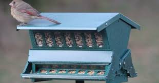 Bird Feeders For Small Birds Amazon Robot Check Squirrel Resistant Bird Feeders Bird Feeders Wild Bird Feeders