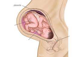 39 Weeks Pregnant No Labour Signs Blackmores Pregnancy