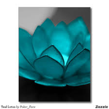 Maybe you would like to learn more about one of these? Teal Lotus Postcard Zazzle Com Blue Lotus Flower Blue Lotus Lotus