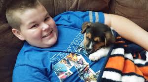 Fly High A Litter 7,5 weeks old <3