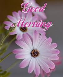 In this modern world whatsapp status facebook twitter is the best to share the good morning wishes and good morning flowers. Freapp Good Morning Flowers Images Gif