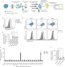 A Rapid In Vitro Methodology For Simultaneous Target