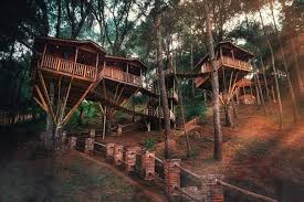 Kali Tree Un Asombroso Hotel De Casas De Arbol En Zacatlan De Las Manzanas Zacatlan De Las Manzanas Casa Del Arbol Cabanas