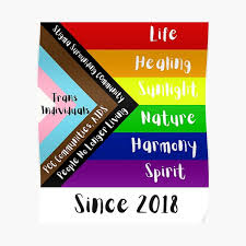 Yea just what it says on the tin. Trans Pride Flag Posters Redbubble