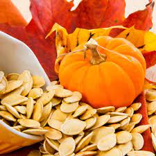 Should you bother saving pumpkin seeds when you cut into your harvest jack o lantern? How To Save Pumpkin Seeds To Plant In The Spring