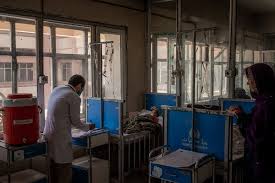 Maybe you would like to learn more about one of these? The Other Way Covid Will Kill Hunger The New York Times