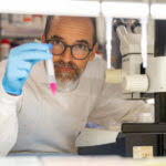 admin, Author at SpinalCure Australia