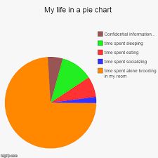 my life in a pie chart imgflip