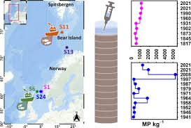 Diving into the Depths: Uncovering Microplastics in Norwegian Coastal  Sediment Cores