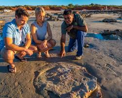 James price point, şu anda iptal edilen lng'ye gözat projesi için önerilen konumdu. Dinosaur Footprints Australia S North West