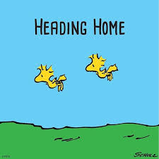 Heading Home For The Holidays Snoopy Love Snoopy Snoopy Comics