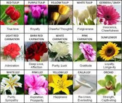Flowers have been symbols of different things over the years. Meanings Flower Meanings Flower Guide Different Types Of Flowers