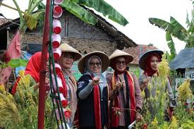 Kelompokan tani terdiri dari sekumpulan petani yang mempunyai kepentingan bersama dalam usaha. Kwt Tombak Pembangunan Level Keluarga Perlu Di Kembangkan Dinas Ketahanan Pangan Tanaman Pangan Dan Hortikultura Provinsi Lampung