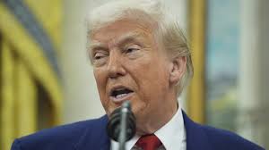 Wooden beaver monument erected in market