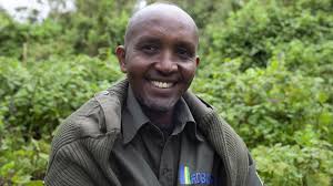 Extinction: The Facts