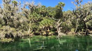 Just 15 minutes from corpus christi & port aransas. Most Scenic Places To Kayak Paddleboard In The Orlando Area