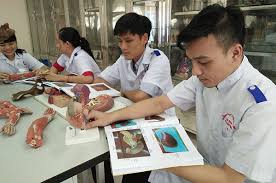 Điểm chuẩn chính thức đại học y dược cần thơ năm 2020 NÄƒm 2019 TrÆ°á»ng Ä'áº¡i Há»c Y DÆ°á»£c Cáº§n ThÆ¡ Tuyá»ƒn 1 450 Sinh Vien Bao Cáº§n ThÆ¡ Online