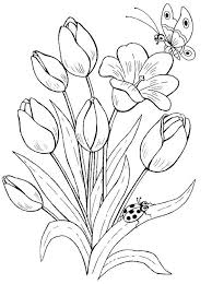 Gambar flora dan fauna yg mudah. 40 Gambar Flora Dan Fauna Yang Mudah Di Gamabr Ideas Drawings Easy Bunny Drawing Easter Drawings