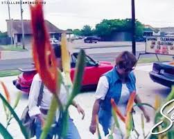 We regularly add new gif animations about and. Top 30 Selena Boutique Gifs Find The Best Gif On Gfycat