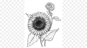 Our free coloring pages for adults and kids, range from star wars to mickey mouse. Sunflower Black And White Png Download 500 500 Free Transparent Coloring Book Png Download Cleanpng Kisspng
