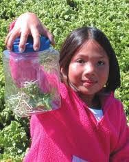 Bradley Millar's Instagram, Twitter & Facebook