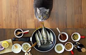 The number of days that this will last for depends on the amount that you will be feeding your cat each day. How To Make Homemade Dry Cat Food Lovetoknow