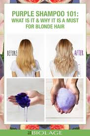 Purple Shampoo Purple Shampoo Purple Shampoo For Blondes Purple Shampoo And Conditioner