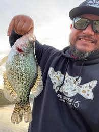 What's your favorite technique to pierce a crappies lips?