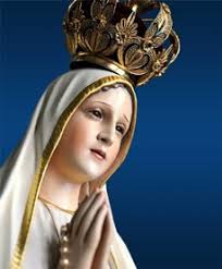 2nd Collection Update