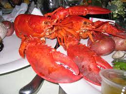 Lobster pron