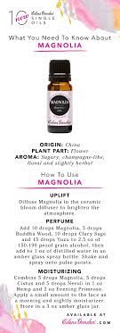 Magnolia Essential Oil Edens Garden Essential Oils Essential Oils For Headaches Essential Oil Recipes