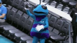 With tenor, maker of gif keyboard, add popular murder hornets animated gifs to your conversations. Hugo The Hornet Gifs Get The Best Gif On Giphy