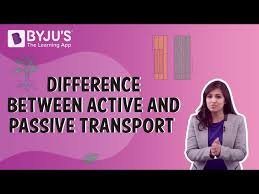 Learn about different modes of transport through music. Difference Between Active Transport And Passive Transport