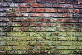 Allow the wall to dry out for a minimum of 24 hours. Mold On Interior Brick Basement Walls The Mold Hound