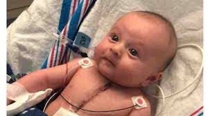 Fundraiser by Erin Lebo : Ryder's Warriors