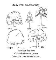 You can draw any pattern. 35 Free Tree Coloring Pages Printable