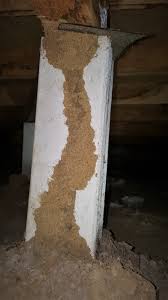 Certified technicians with experience in pest inspections. Melbourne Wide Termites How To Deal With Termites Control Rip Termite Pest Control Services