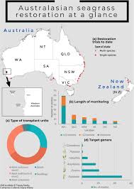 Maybe you would like to learn more about one of these? Frontiers Seagrass Restoration Is Possible Insights And Lessons From Australia And New Zealand Marine Science