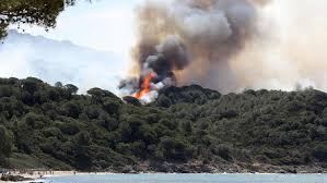 Maybe you would like to learn more about one of these? Sudfrankreich Hunderte Feuerwehrleute Kampfen Gegen Waldbrande Panorama Stuttgarter Nachrichten
