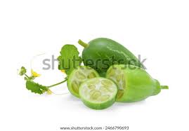 Image result for Coccinia sp. A