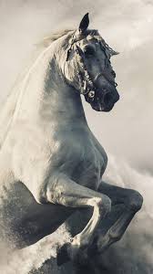 Pegasus White Horse 4k Ultra Hd Mobile Wallpaper Horse Wallpaper Horses Horses In Snow Sign up for free today! pinterest