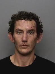 RPD: Woman uses technology to track down purse thief