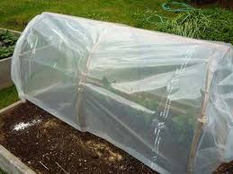 Fabriquer Une Serre Tunnel Pas Chere Pour Le Jardin Plans De Serre Serre Jardin Tunnel Jardin