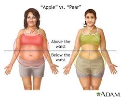 Different parts of woman body. Why Do People Gain Weight In Different Parts Of Their Body Coolefitness