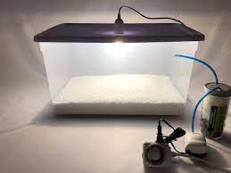 Check spelling or type a new query. Mushroom Lighting Kit