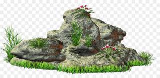 Rock Stone Clip Art Stone Png Is About Is About Plant Aquarium Decor Houseplant Tree Landscaping Rock Stone Clip Art Rock Background Flower Art Clip Art