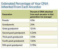 Dna Inheritance Charts For Genetic Genealogy