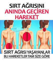 Pin On Alternatif Tip