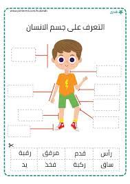 التعرف على جسم الانسان alphabet activities preschool arabic kids arabic alphabet for kids